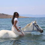 Bodrum Horse Riding Adventure - An In-Depth Look at the Bodrum Horse Riding Adventure