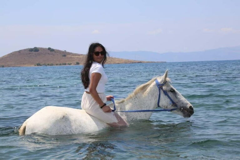 Bodrum Horse Riding Adventure - An In-Depth Look at the Bodrum Horse Riding Adventure