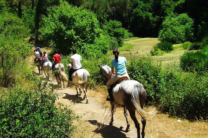 Bodrum Horse Riding Experience w/ Hotel Transfer Service - Why This Tour is Worth the Price