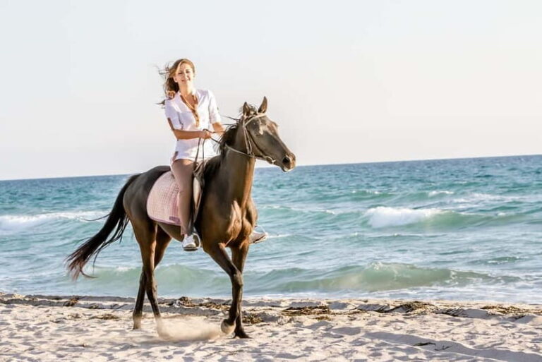 Bodrum: Horseback Riding Experience with Hotel Transfer - The Experience in Detail