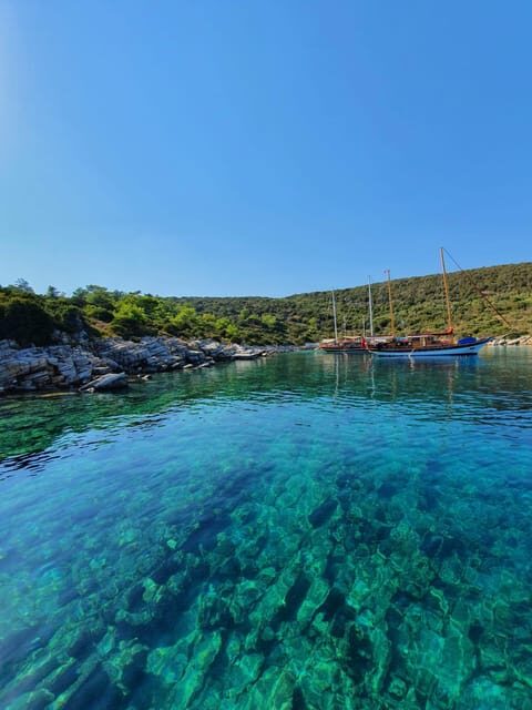 Bodrum: Private Motoryacht Tour with swimming stops & lunch - Who Would Love This?