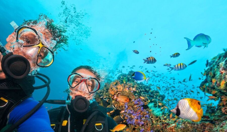 Bodrum: Scuba Diving Briefing & Diving Experience - FAQs