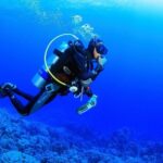 Bodrum Scuba Diving Tour With Free Hotel Transfer By Locals - Exploring the Bodrum Scuba Diving Tour in Depth