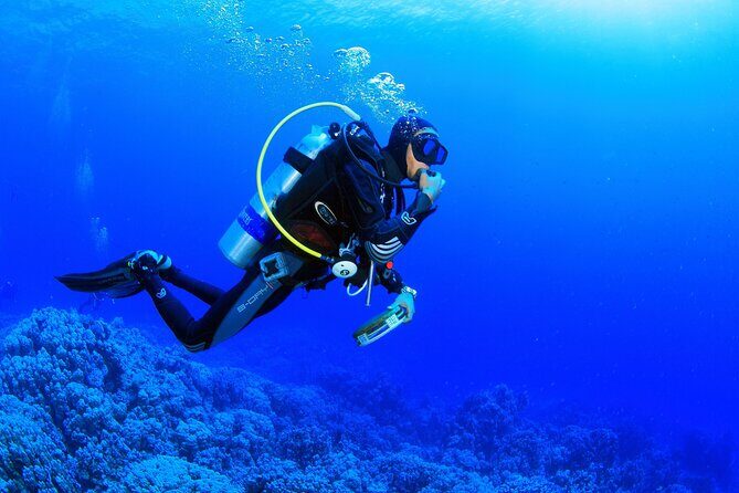 Bodrum Scuba Diving Tour With Free Hotel Transfer By Locals - Exploring the Bodrum Scuba Diving Tour in Depth