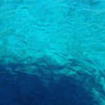 Bodrum: Scuba Diving Trip with Lunch - A Detailed Look at the Experience