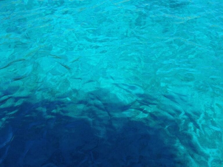 Bodrum: Scuba Diving Trip with Lunch - A Detailed Look at the Experience