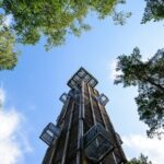 Bogs and Resorts in Jrmala - An In-Depth Look at This Jurmala Day Trip