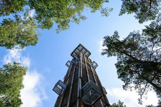 Bogs and Resorts in Jrmala - An In-Depth Look at This Jurmala Day Trip