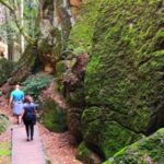 Bohemian Paradise Private Hiking Tour - Day Trip From Prague - Castles, Ruins, and Scenic Viewpoints