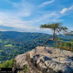Bohemian Paradise with Brewery Tour from Prague - A Deep Dive into the Experience