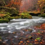 Bohemian Switzerland: Private Day Trip from Prague - Exploring Bohemian Switzerland: An In-Depth Review