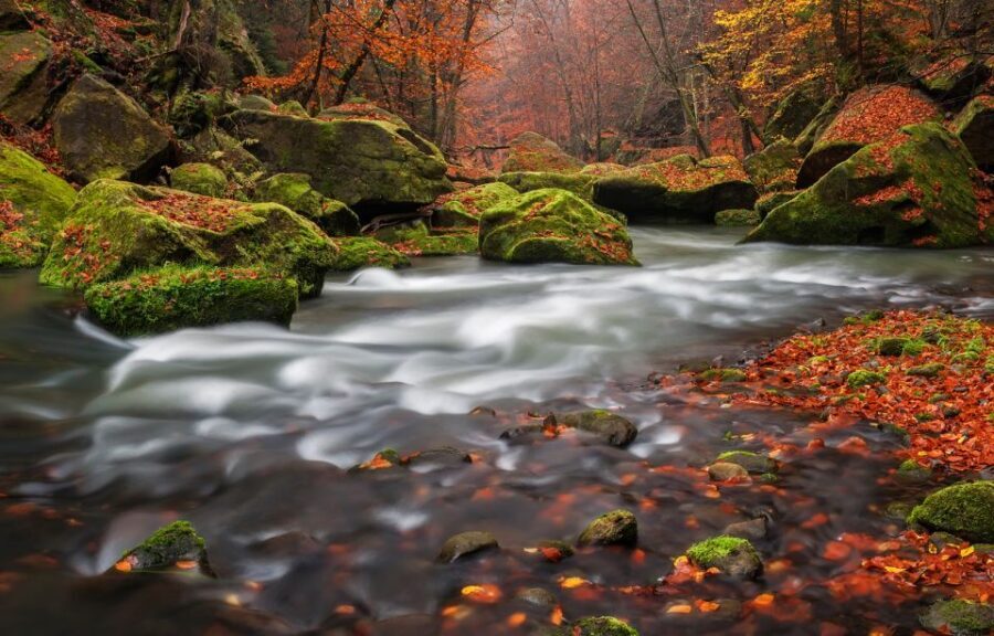 Bohemian Switzerland: Private Day Trip from Prague - Exploring Bohemian Switzerland: An In-Depth Review