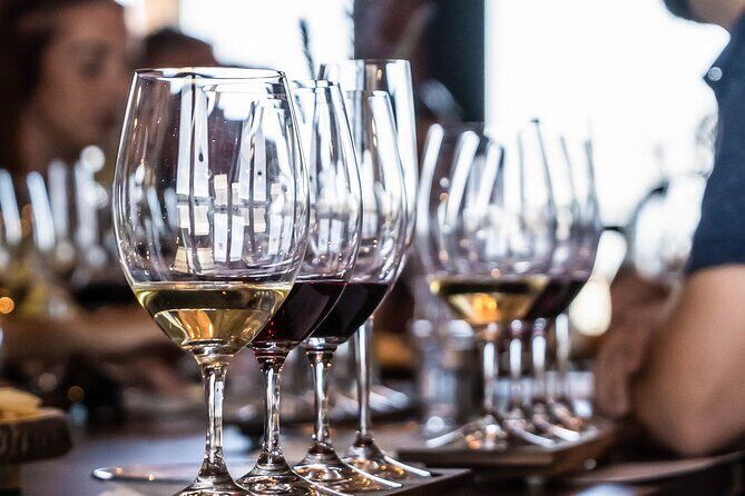 Boise River Wine Walk: Sip and Stroll Through Urban Wineries - Who Will Love This Experience?