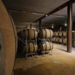 Bolgheri: guided visit of the winery and tasting of our wines - A Closer Look at the Bolgheri Experience