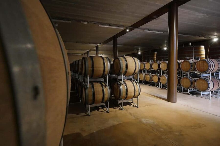 Bolgheri: guided visit of the winery and tasting of our wines - A Closer Look at the Bolgheri Experience