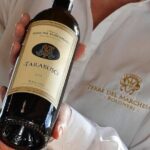 Bolgheri: Premium Wine Tasting with Winery Tour - Why This Tour Offers Great Value