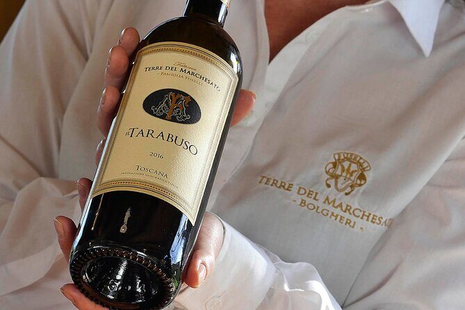 Bolgheri: Premium Wine Tasting with Winery Tour - Why This Tour Offers Great Value