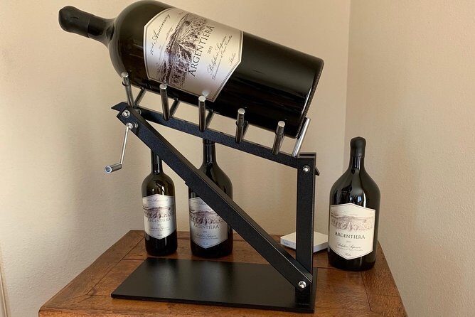 Bolgheri Wine Tour from Lucca - Who Should Consider This Tour?