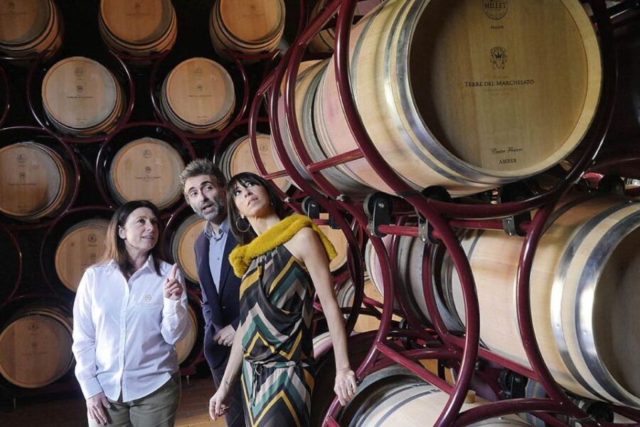 Bolgheri: Winery Tour with Wine Tasting - Frequently Asked Questions