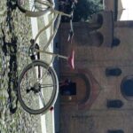 Bologna: Bike Rental - Who Should Consider This?