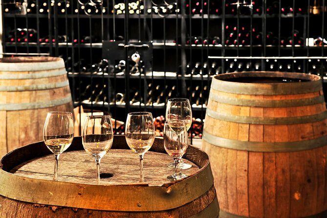 Bologna Exclusive Italian Wine Tasting in the centre - The Sum Up: Why This Tour Is a Solid Choice