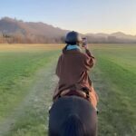 Bologna: Horseback Ride in the Bolognese Hills - Final Thoughts: Why Choose This Horseback Ride?