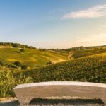 Bologna: Olive Grove and Vineyard Tour with Product Tastings - What to Expect During the Tour