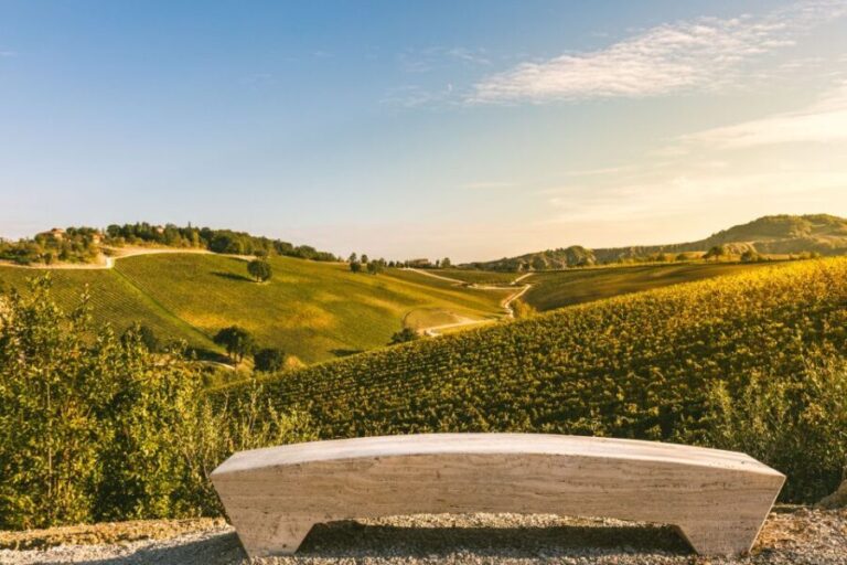 Bologna: Olive Grove and Vineyard Tour with Product Tastings - What to Expect During the Tour