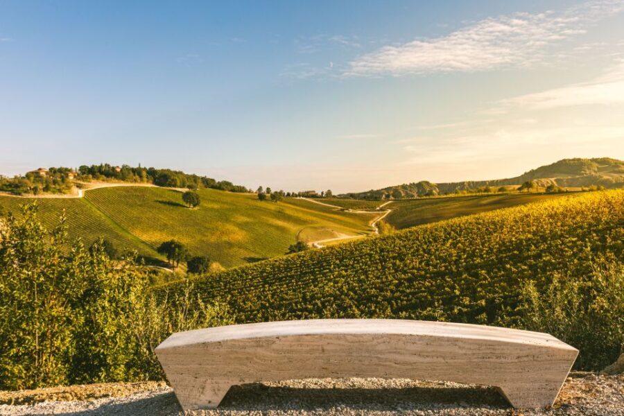 Bologna: Olive Grove and Vineyard Tour with Product Tastings - What to Expect During the Tour