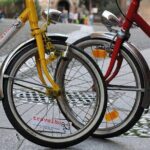 Bologna Panoramic Bike Tour - Exploring Bologna by Bike: A Detailed Look