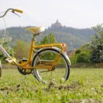Bologna: Panoramic Bike Tour - What to Expect: A Detailed Breakdown of the Itinerary