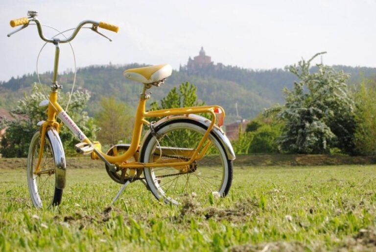 Bologna: Panoramic Bike Tour - What to Expect: A Detailed Breakdown of the Itinerary