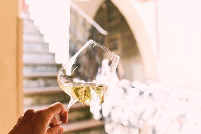 Bolzano Wine & More Walking Tour with Wine expert - In-Depth Review of the Bolzano Wine & More Walking Tour