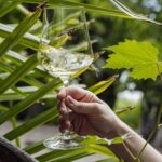 Bolzano: Wine Tasting at SKYWINE Pavilion with Views - Why This Experience Fits Travelers Well