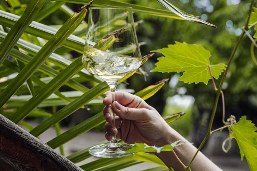 Bolzano: Wine Tasting at SKYWINE Pavilion with Views - Why This Experience Fits Travelers Well