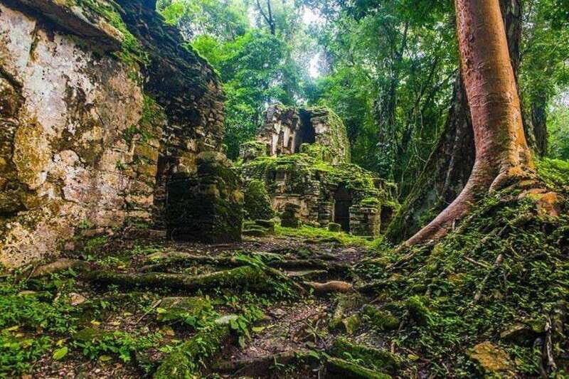 Bonampak & Yaxchilan archaeological sites & jungle - Who Is This Tour For?