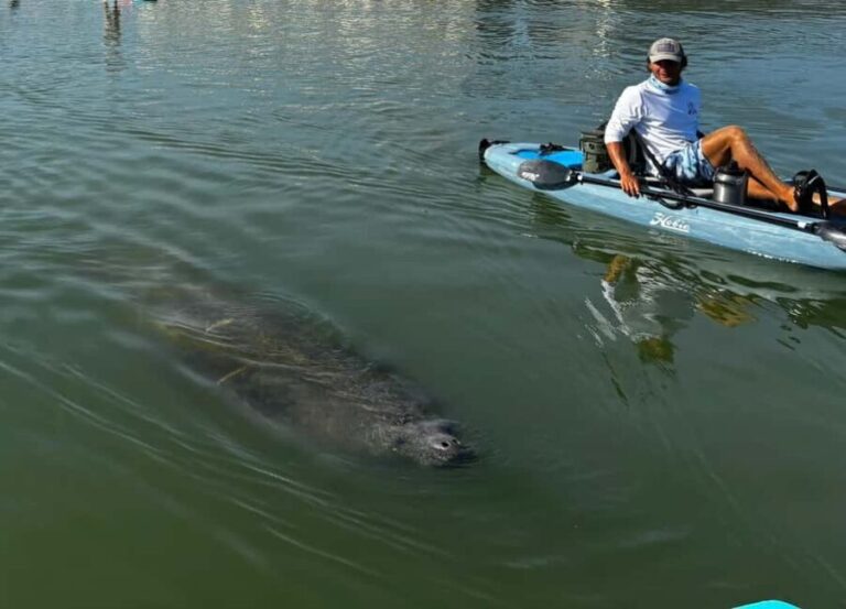 Bonita Springs: Kayak Tour with Manatees, Dolphins Sightings - Who Will Love This Tour?
