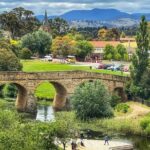 Bonorong Wildlife Park and Richmond Afternoon Tour from Hobart - A Detailed Look at the Tour Experience