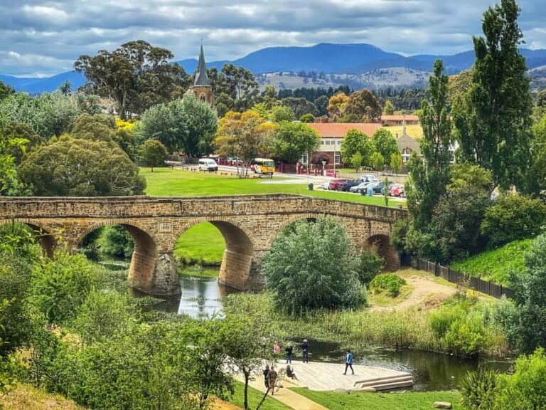 Bonorong Wildlife Sanctuary Half-Day Tour from Hobart - An In-Depth Look at Your Tasmania Half-Day Adventure
