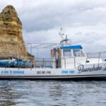 Boomshaka Kayak Tour - Who Should Consider This Tour?