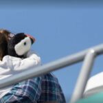 Boothbay: Lighthouses & Islands Harbor Cruise - An In-Depth Look at the Boothbay Harbor Lighthouse & Island Cruise