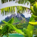 Bora Bora: 4WD History & Culture Tour - The Itinerary Breakdown