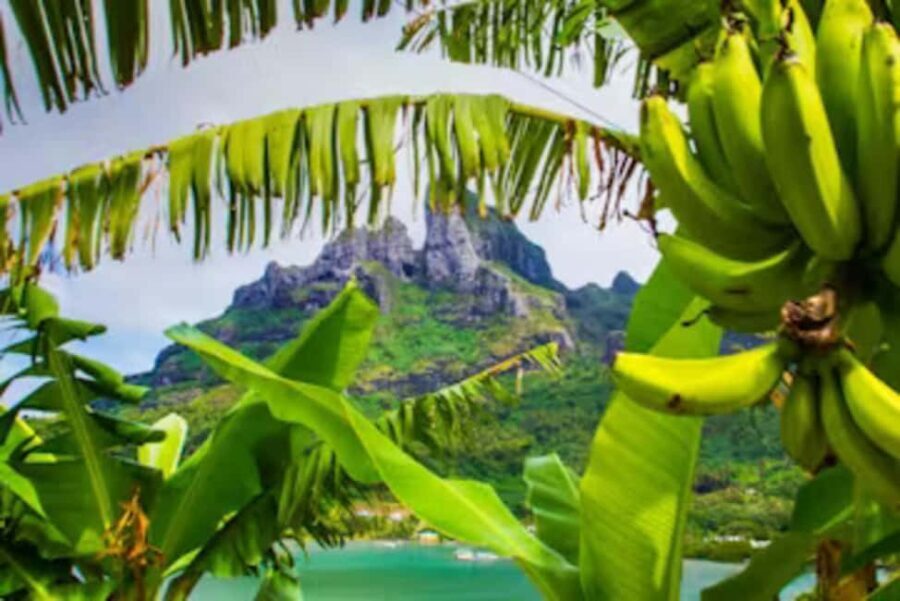 Bora Bora: 4WD History & Culture Tour - The Itinerary Breakdown