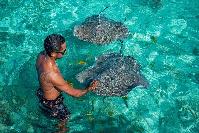 Bora Bora Full Day Manu Lagoon Excursion - The Experience in Detail: What Makes It Worthwhile