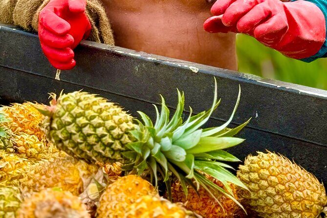 Bora Bora Gourmet Odyssey - Food Tour - Final Thoughts