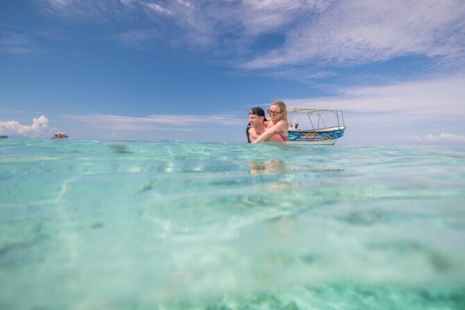 Bora Bora Half Day Manu Lagoon Excursion - Who Will Love This Tour?