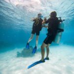 Bora Bora: Introductory Dive - Why This Tour Offers Great Value
