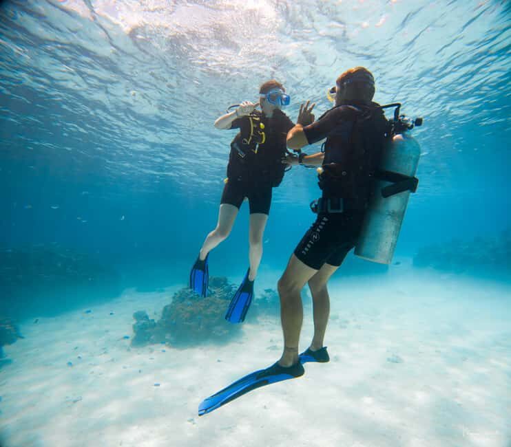 Bora Bora: Introductory Dive - Why This Tour Offers Great Value