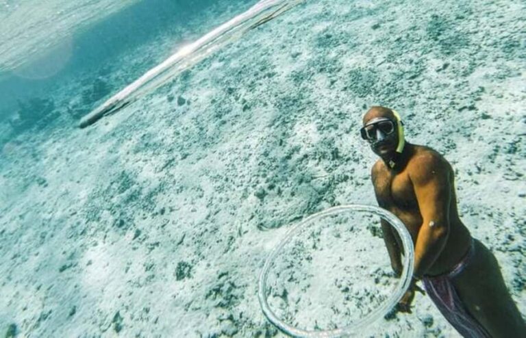 Bora Bora: Lagoon Snorkeling Half-Day Private Boat Tour - Who Should Consider This Tour?