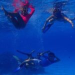 Bora Bora: Luxury Private Half Day Snorkeling Tour - FAQs